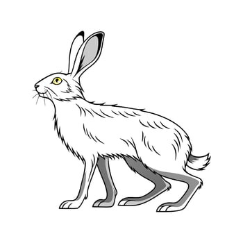 Charming Silver Fox Rabbit Realistic Art vector