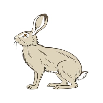 Playful Tan Rabbit Realistic Illustration Art vector