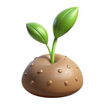 impressive traditional Growing Plant Emerging From Seed Transparent Background authentic png