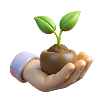 impressive rustic Hand Holding a Seedling Front View Transparent professional png
