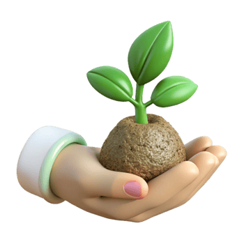 extraordinary creative Hand Holding a Seedling Front View Transparent professional png