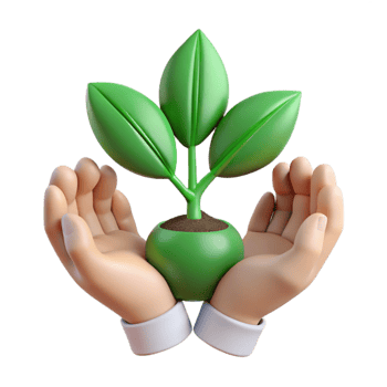 stunning artistic Hands Holding Growing Plant Transparent Background with Green Leaves high quality png