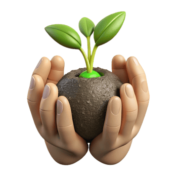dramatic traditional Hands Holding Seedlings Ready for Planting Isolated original png