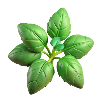 stunning vintage Holy Basil Plant Cutout with Green Leaves detailed png