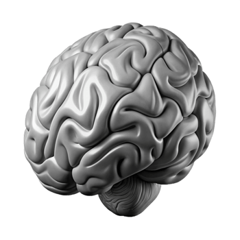 impressive vintage Human Brain Mri Scan Grayscale Cutout professional png