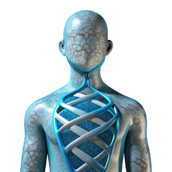 vibrant modern Human Silhouette with Dna Strand Overlay Cutout premium png