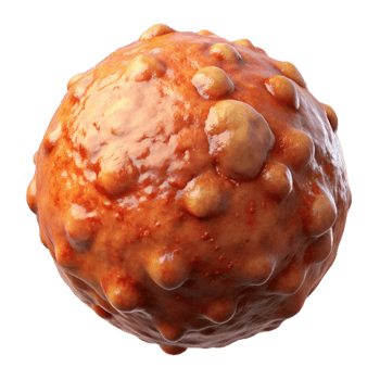 impressive artistic Lab Grown Meatball Close Up Transparent Background genuine png