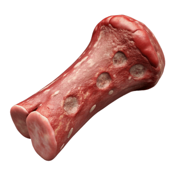 vibrant artistic Lab Produced Beef Rib Bone in Isolated png
