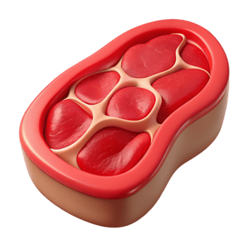 serene minimalist Lab Produced Steak Slice Red Interior Cutout exclusive png