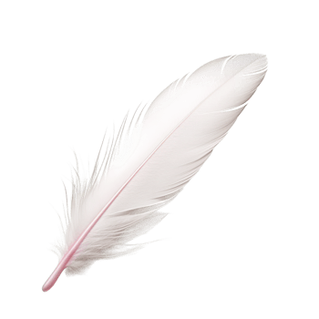 Soft white feather drifting gently with fine, delicate strands png