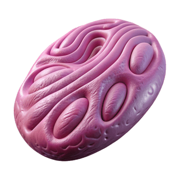 magnificent rustic Mauve Artificial Mitochondria Cutout Element genuine png