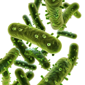 Microscopic View of RodShaped Bacteria in a 3D Rendering Illustration png