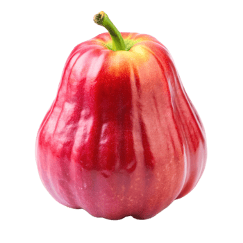 A Vibrant Red Rose Apple Isolated on a Black Background, Showing its Smooth Skin and Unique Shape png