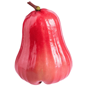 A single ripe red rose apple isolated on a black background, showcasing its vibrant color and smooth skin png