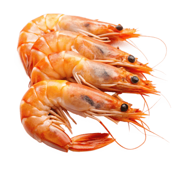 Three succulent cooked prawns arranged on a white plate, showcasing their vibrant orange hue and intricate details png