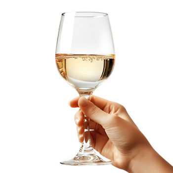 Hand holding a glass of white wine isolated on transparent background png