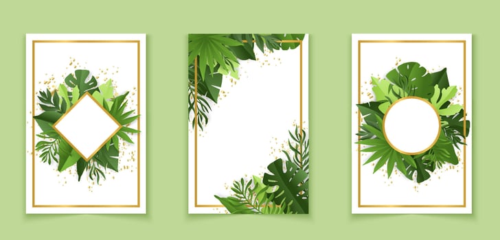 Botanical banners set with tropical leaves vector
