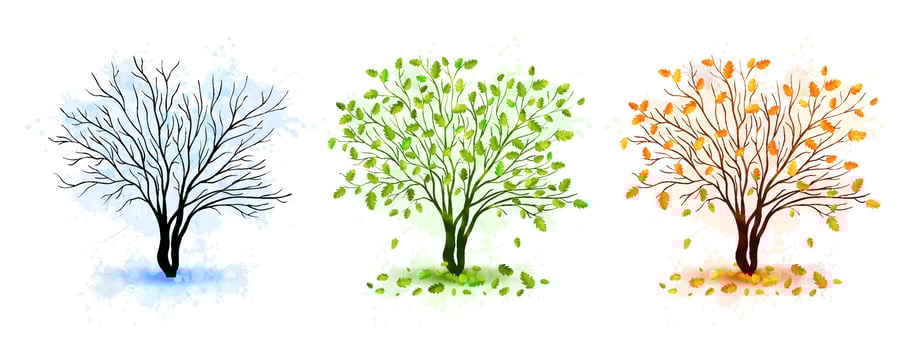 Tree seasons nature background vector