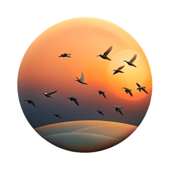 stunning artistic A flock of birds migrating across a sunset sky, silhouette, minimalist style exclusive png
