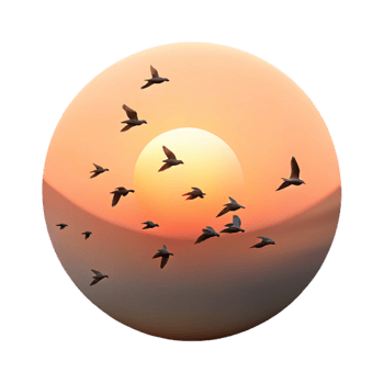 beautiful minimalist A flock of birds migrating across a sunset sky, silhouette, minimalist style high quality png