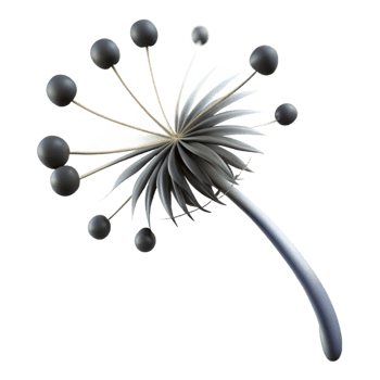 extraordinary minimalist Single dandelion seedhead with seeds blowing in the wind, delicate, minimalist, black and white, detailed png