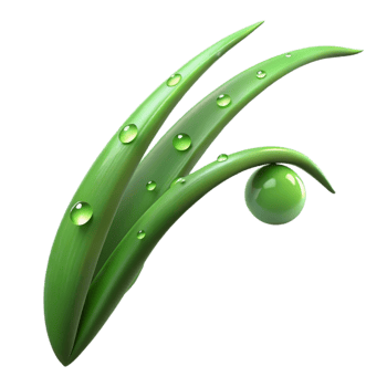 serene minimalist A single blade of grass with dew drops, macro photography, soft morning light, green tones, authentic png