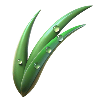 impressive modern A single blade of grass with dew drops, macro photography, soft morning light, green tones, detailed png