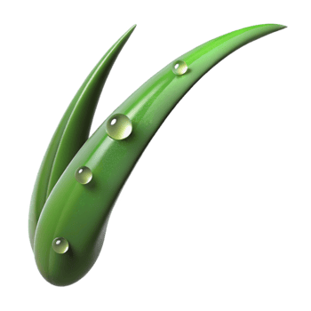 vibrant creative A single blade of grass with dew drops, macro photography, morning light, realistic style high resolution png