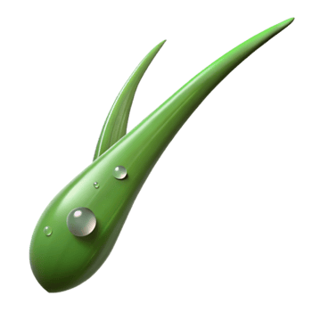 dramatic rustic A single blade of grass with dew drops, macro photography, morning light, realistic style detailed png