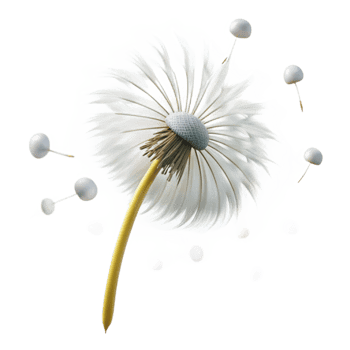 magnificent rustic A single dandelion seedhead with seeds blowing in the wind, delicate, ethereal, soft focus 4K png