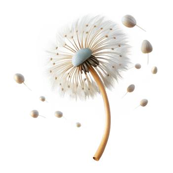 wonderful creative A single dandelion seedhead with seeds blowing in the wind, ethereal lighting, dreamy style, macro photography exclusive png