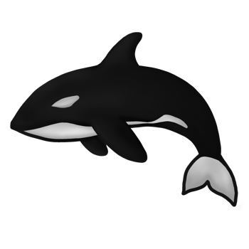 ocra whale jumping illustration png