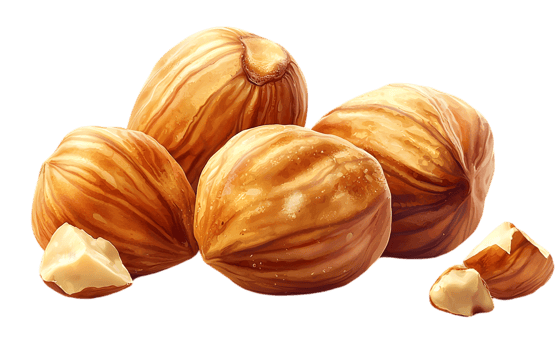 Group Of Hazelnuts On Transparent Background png