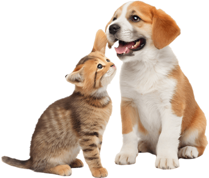 Adorable Pair Kitten and Puppy Smiling in Joy. . png