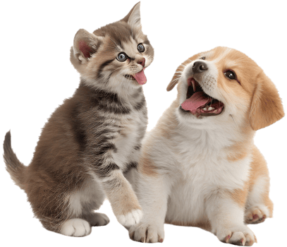 Cheerful Kitten and Puppy Expressing Joyful Companionship. . png