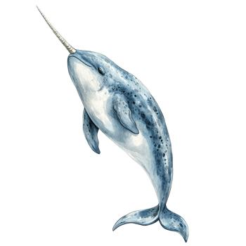 A watercolor painting depicting a majestic narwhal marine mammal png