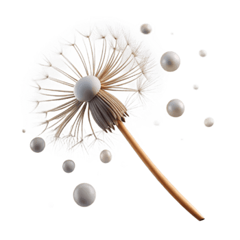 dramatic traditional A single dandelion seedhead with seeds blowing in the wind, ethereal lighting, dreamy style, macro photography 4K png