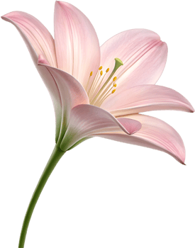 Gemstone Lily Flower Clipart in Stunning and Intricate Floral Sculpture. . png