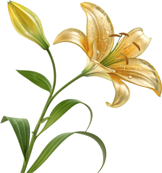 Unique Gemstone Sculpted Lily Flower Clipart in Vibrant Elegant Style. . png