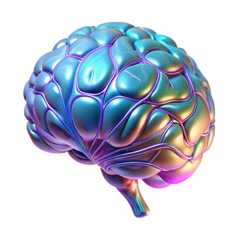 beautiful creative A holographic projection of a human brain, intricate neural pathways illuminated. Medical illustration style, cool colors, sense of complexity and understanding high resolution png
