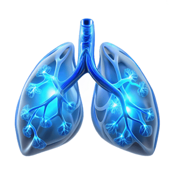 impressive abstract Human lungs interwoven with delicate, glass-like capillaries filled with glowing, fluorescent fluid, illuminated by a soft, diffused light, in a bioluminescent style 4K png