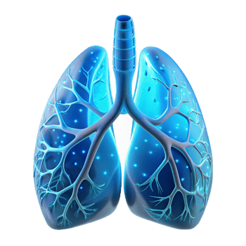 impressive vintage Human lungs interwoven with delicate, glass-like capillaries filled with glowing, fluorescent fluid, illuminated by a soft, diffused light, in a bioluminescent style professional png