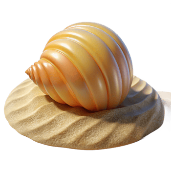 beautiful contemporary A single, perfect seashell on a white sandy beach, lit by the bright midday sun. Beach photography style professional png