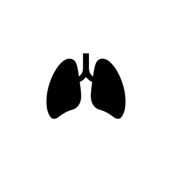 minimalist Mindful Breathing Lungs Icon png