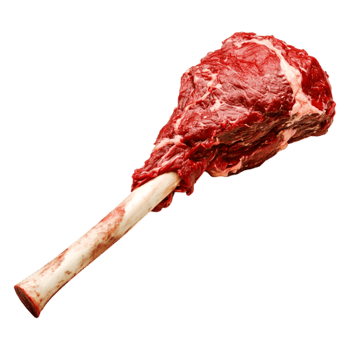 Raw Beef Meat Joint with Bone Isolated on png