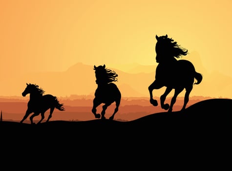Running Horses Silhouettes group vector