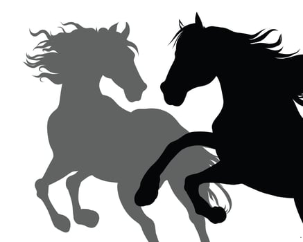 Couple Of Horses Sillouettes vector
