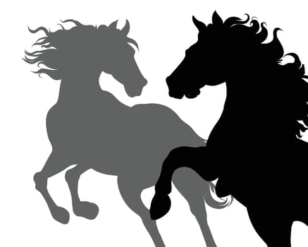 Couple Of Horses vector