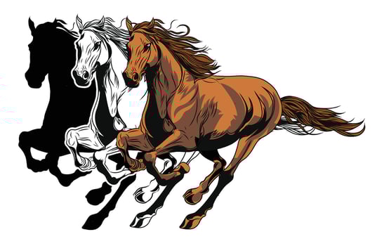 Set Of Horse vector