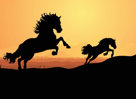 running Horse Silhouettes set vector